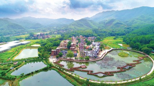 [惠州]力争2020年前每个森林村庄都建村级森林公园